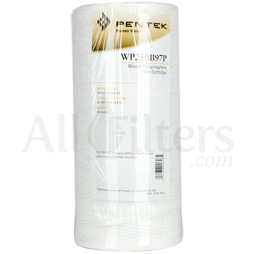 Pentek WP25BB97P