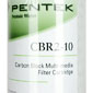 Pentek CBR2-10