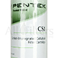 Pentek CS1