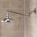 Shower Filter with Extension Arm