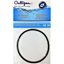 Culligan OR-38