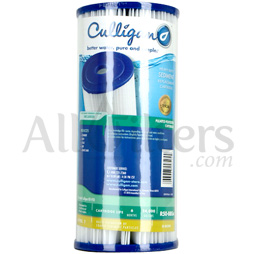 Culligan R50-BBSA
