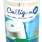 Culligan CP5-BBS