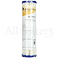 Pentek ECP20-10