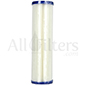 Pentek ECP20-10