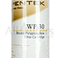 Pentek WP-30